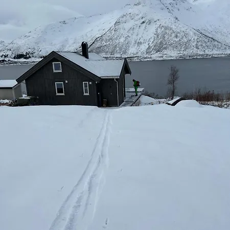 Lofoten, Geitgaljen בית נופש
