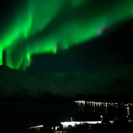 Lofoten, Geitgaljen
